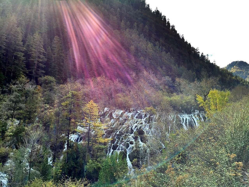 <ɶ-Ĵ-ɽ-Ĵ㺺ǶѲ-ɶŸ-ɶɻ65>