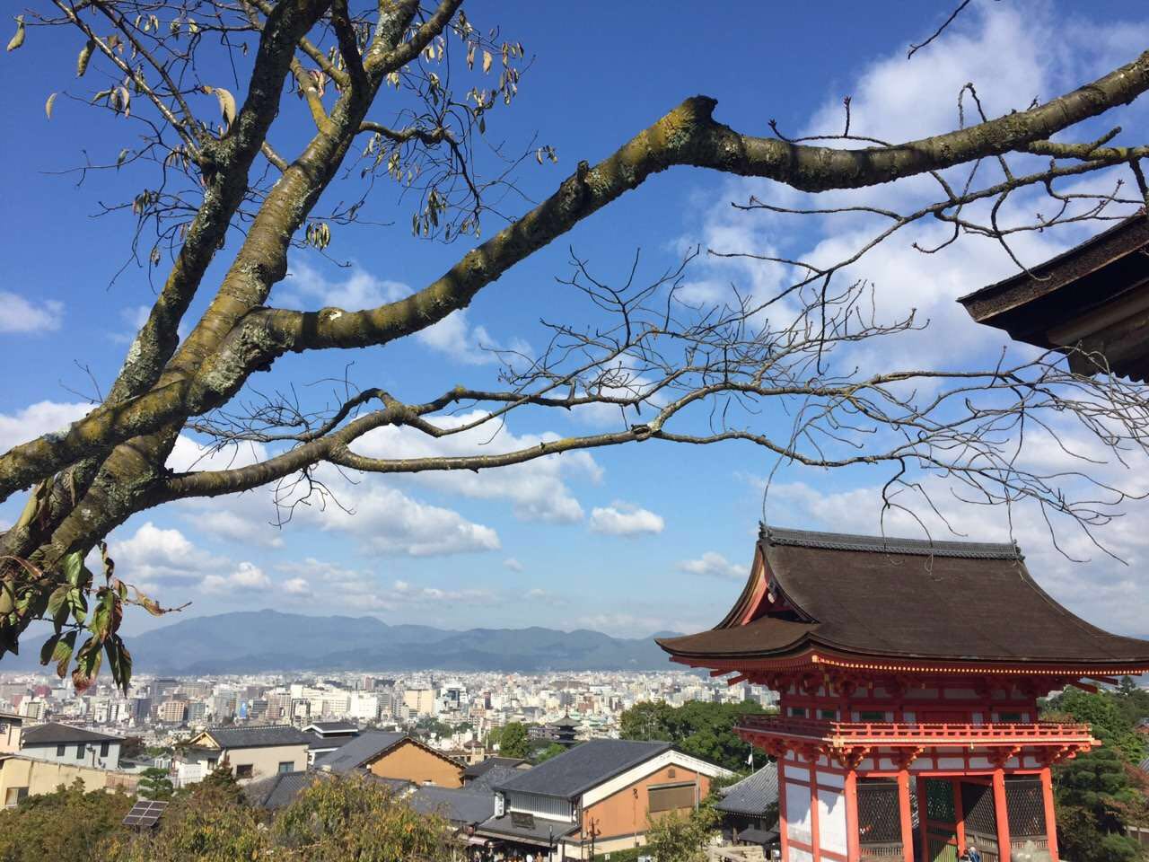 <日本双飞7天6晚跟团游>