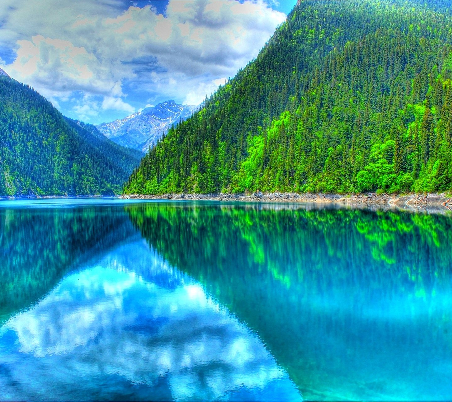 <Ĵկ--Ĵüɽ-Ĵɽ-è԰ɻ65>