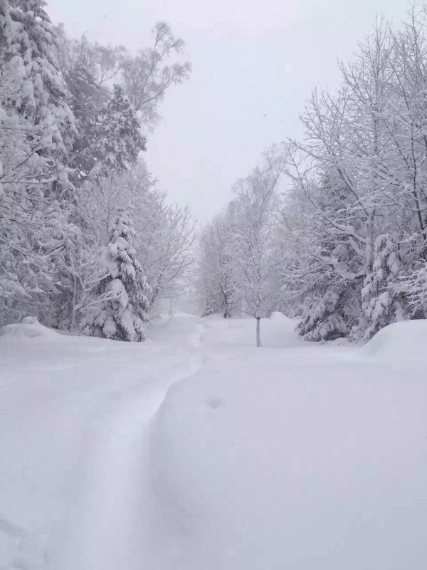 <-йѩ-ǲѩζȼ˫65>