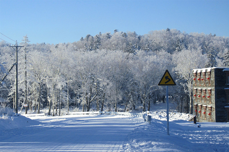 <Ӽ---йѩ-ˮг-ֳɽطɻ65>