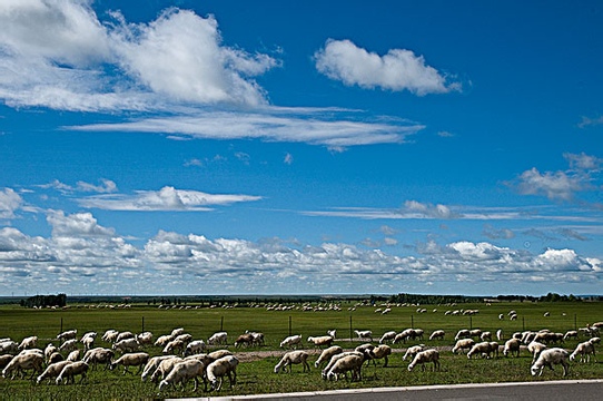 <½ר³ľ-ʲ-л1716>