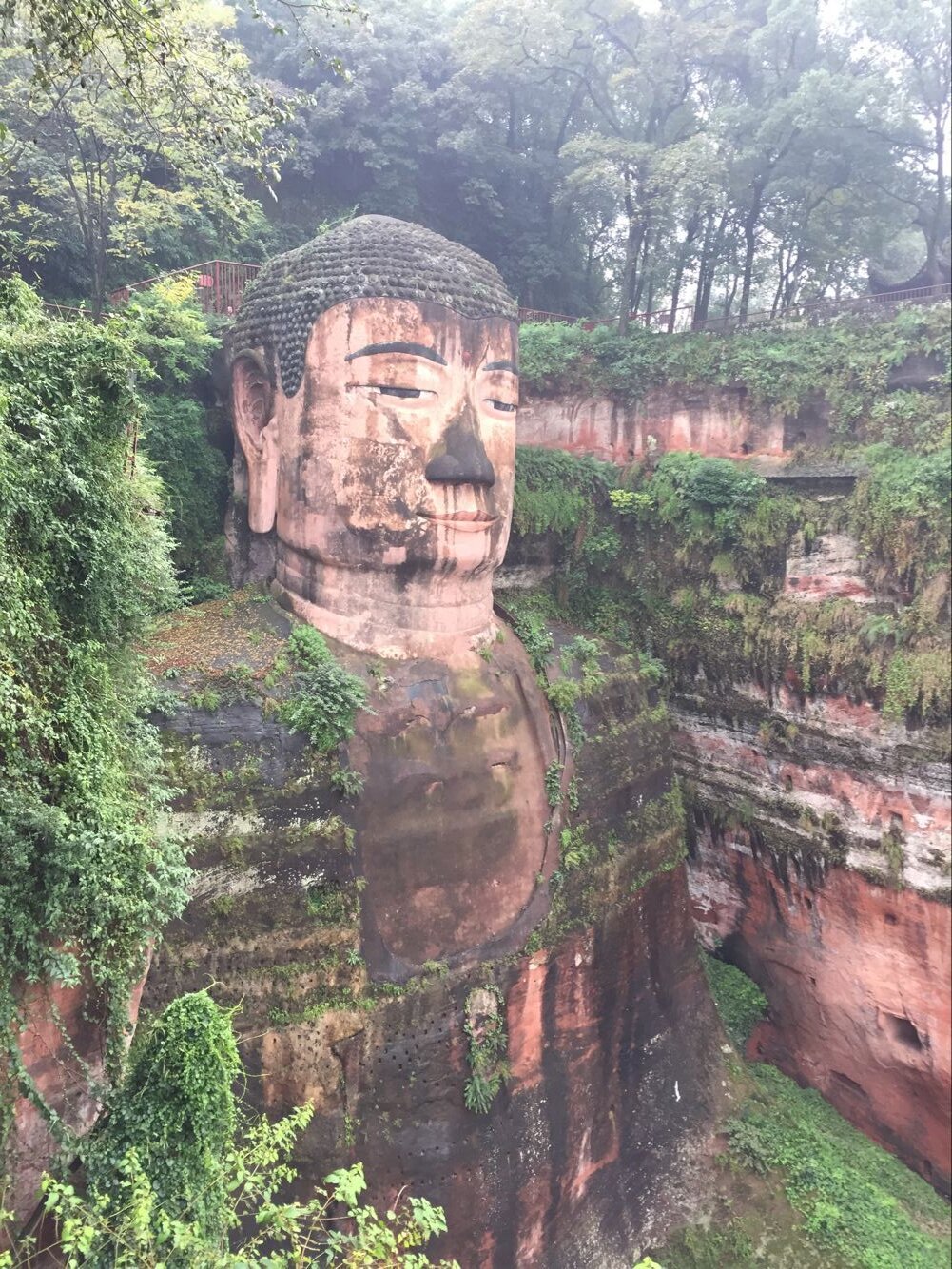 <ɶ-Ĵɽ-Ĵüɽɻ43>