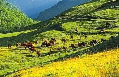 <³ľ-½ɽ-ľ-½η羰-˹-˹ľɻ87>