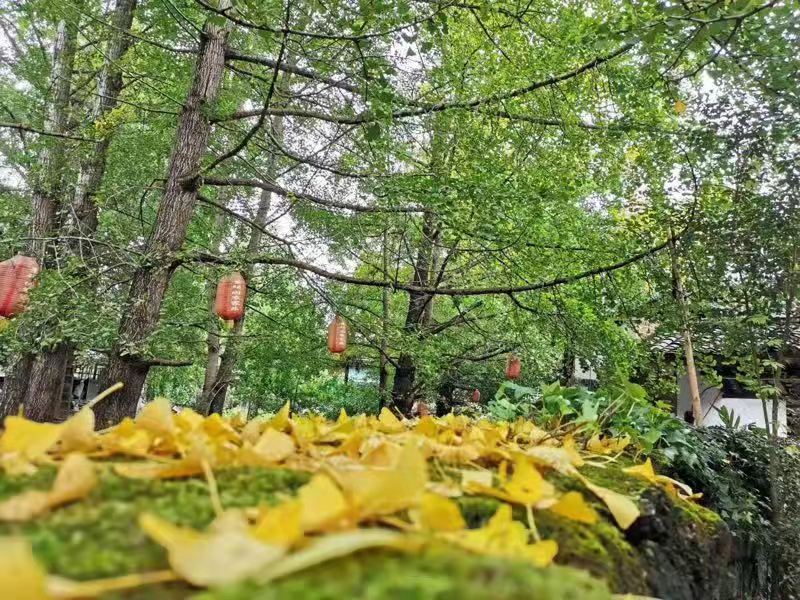 <瑞丽市-勐焕大金塔-一寨两国-腾冲北海湿地双飞7天6晚跟团游>